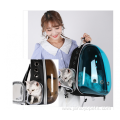 Pet carrier backpack airline approved